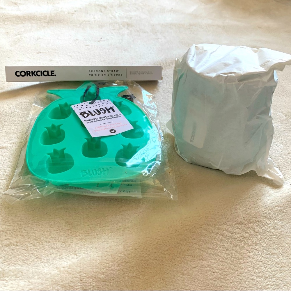 *Turquoise BUNDLE Wine Cup, Straw, Ice Tray*